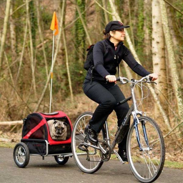 remolque de bici para perros